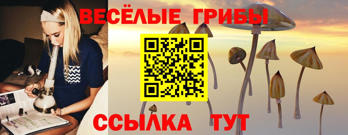 Псилоцибиновые грибы Psilocybine cubensis Борисоглебск